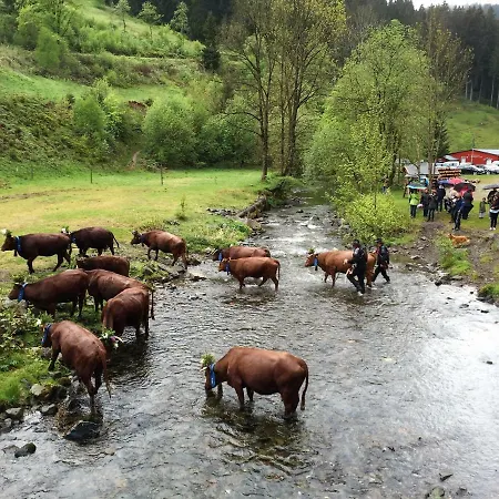An Der Innerste Lägenhet