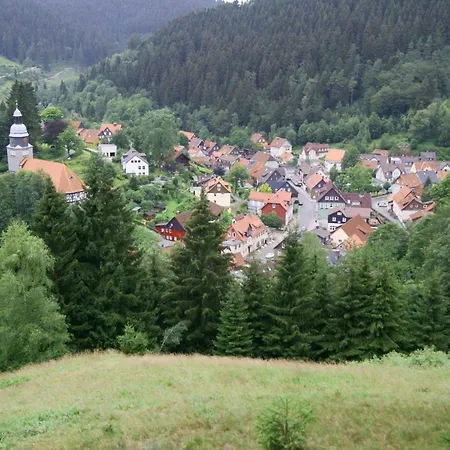 An Der Innerste Wildemann